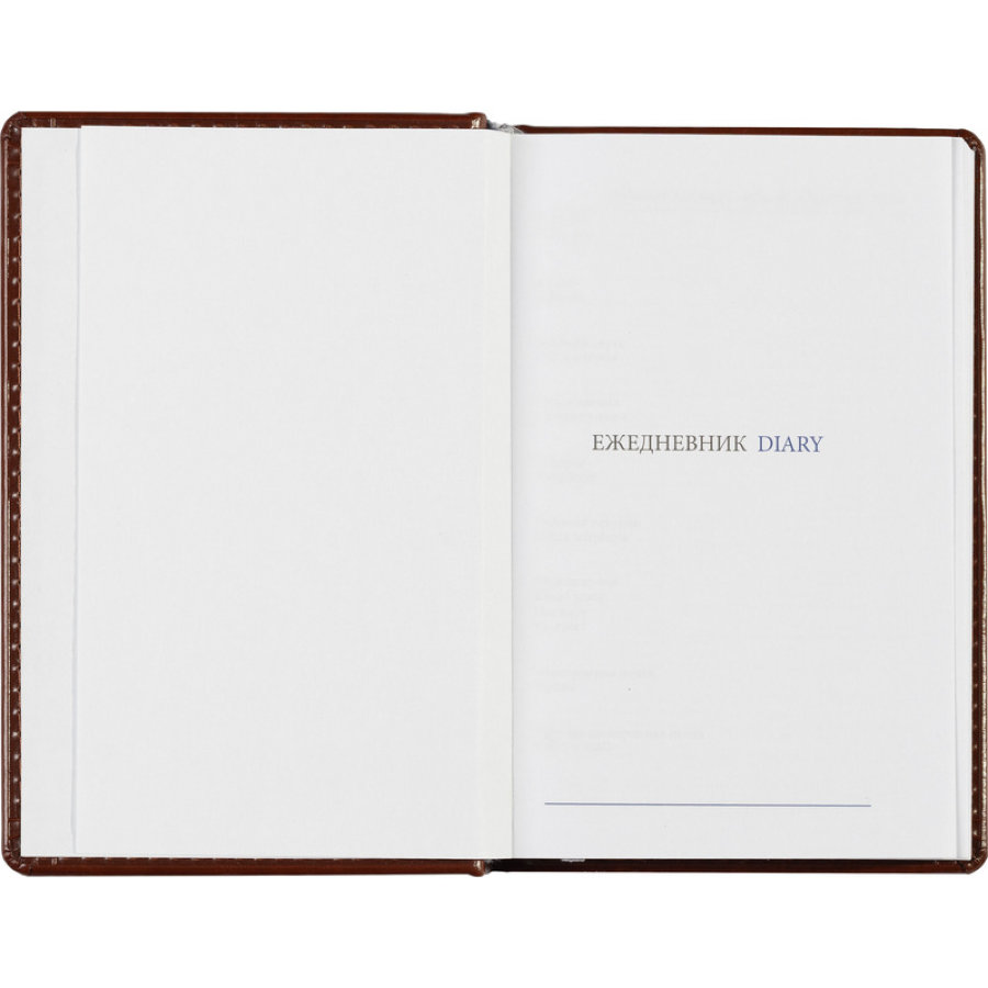 Ежедневник недатированный коричневый, А6, 100x150, 320стр, Agenda