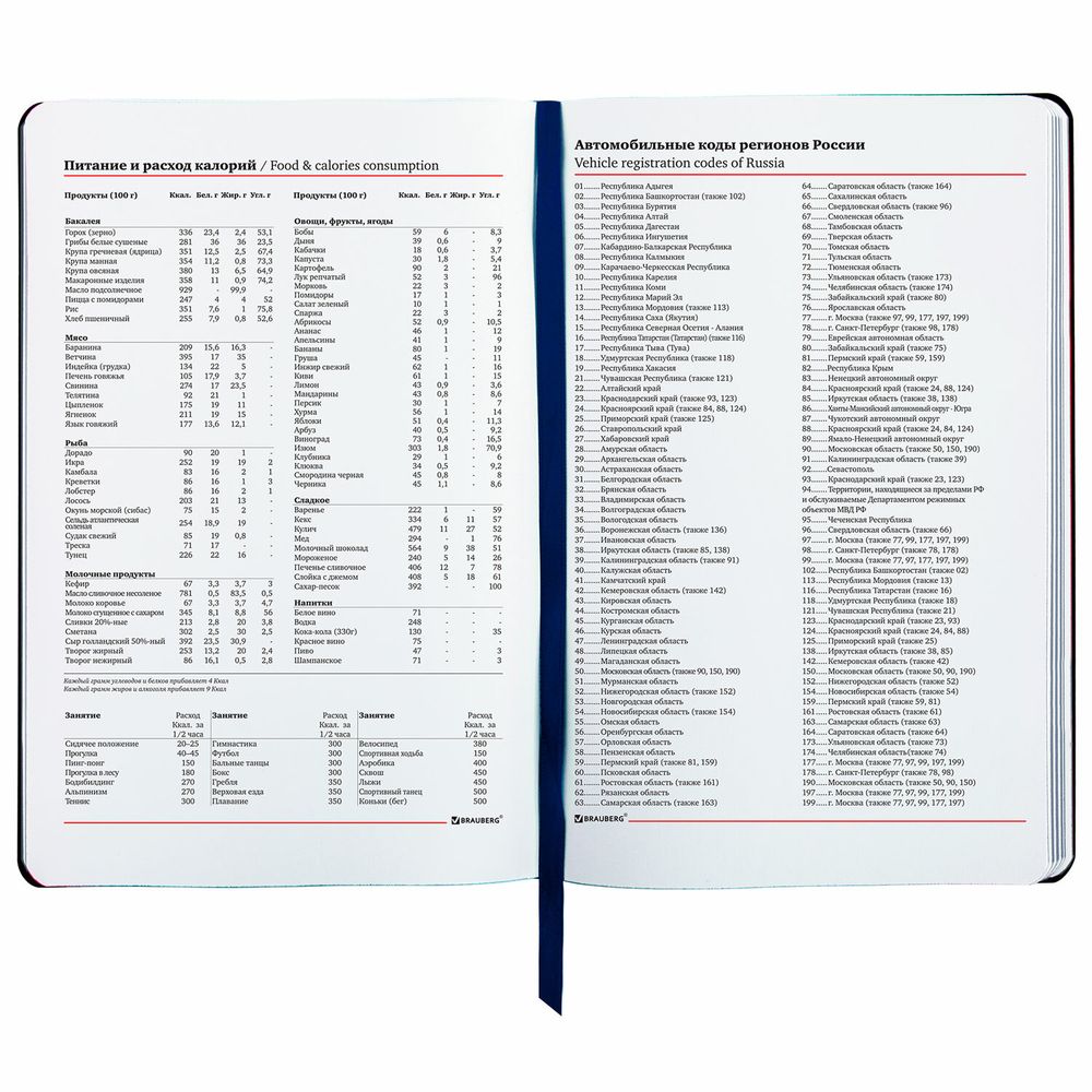 Ежедневник недатированный А5 (138х213 мм), BRAUBERG VISTA, под кожу, гибкий, 136 л., "SpaceX"