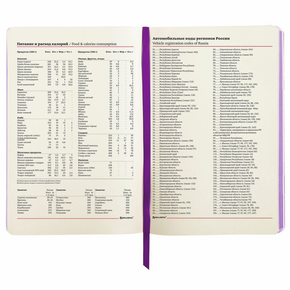 Ежедневник недатированный А5 (138х213 мм), BRAUBERG VISTA, под кожу, гибкий, 136 л., "Watercolour rain"