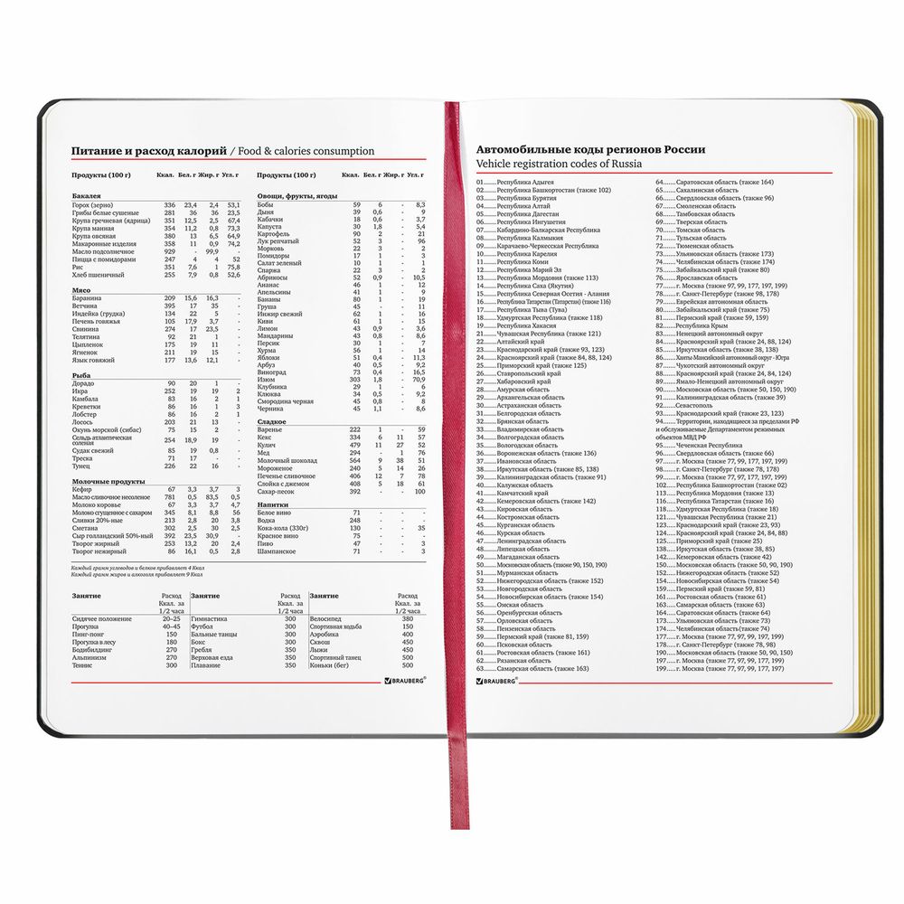 Ежедневник недатированный А5 (138х213 мм), BRAUBERG VISTA, под кожу, гибкий, 136 л., "Pomegranate"