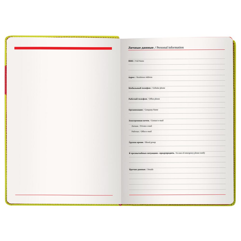 Ежедневник недатированный А5 (138х213 мм), BRAUBERG "AIM", под кожу 136 л., светло-зеленый