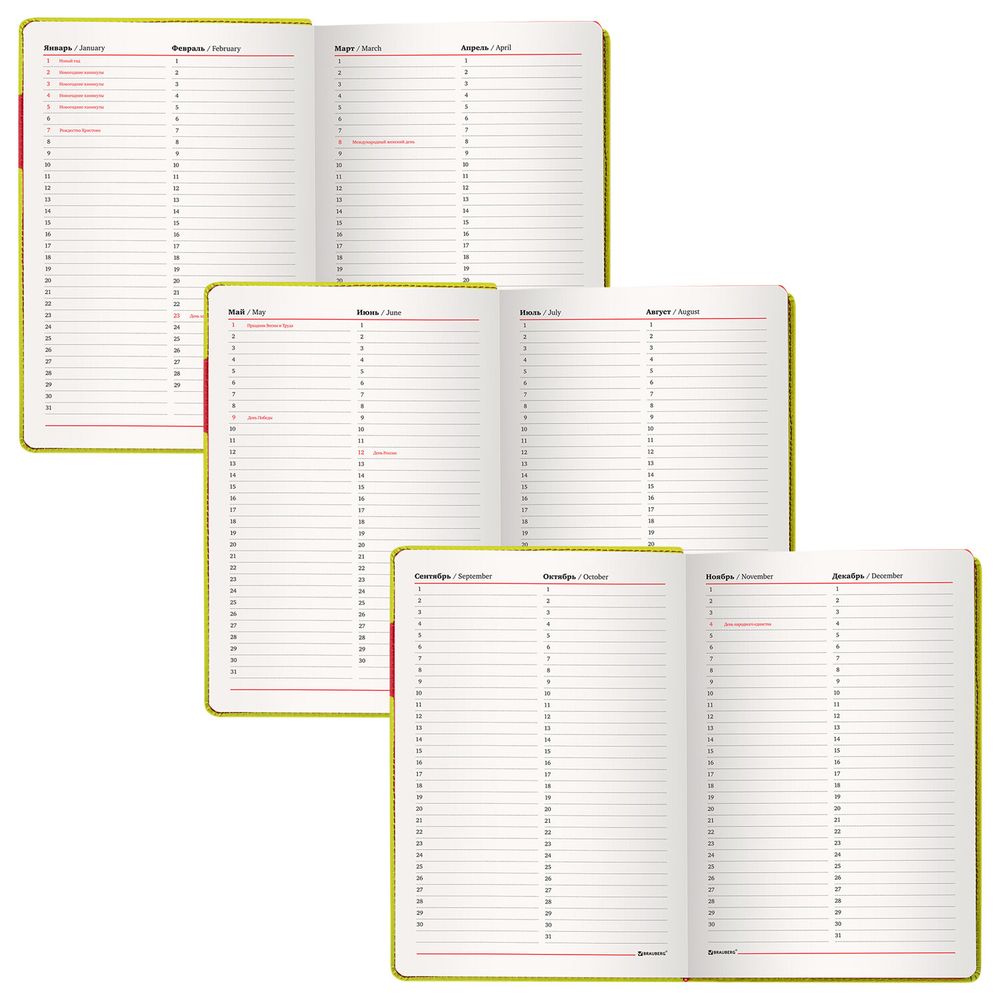 Ежедневник недатированный А5 (138х213 мм), BRAUBERG "AIM", под кожу 136 л., светло-зеленый