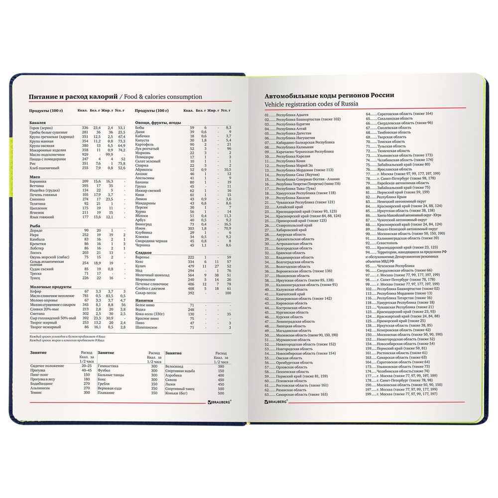 Ежедневник недатированный А5 (138х213 мм), BRAUBERG "AIM", под кожу, 136 л., темно-синий