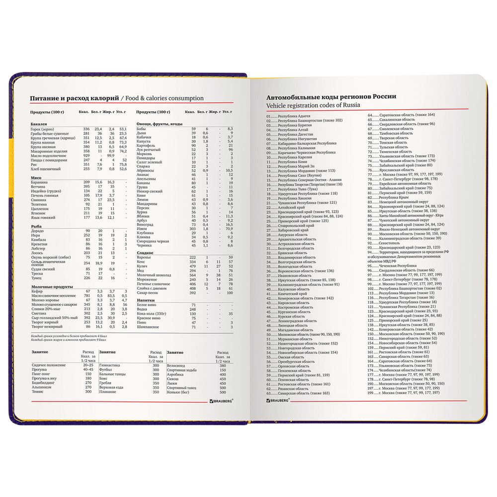 Ежедневник недатированный А5 (138х213 мм), BRAUBERG "AIM", под кожу, 136 л., фиолетовый