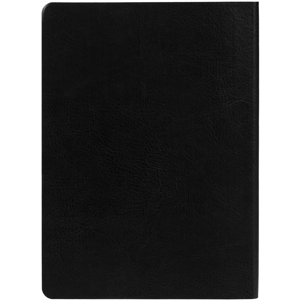 Ежедневник Nebraska Flex недатированный черный с золотистым