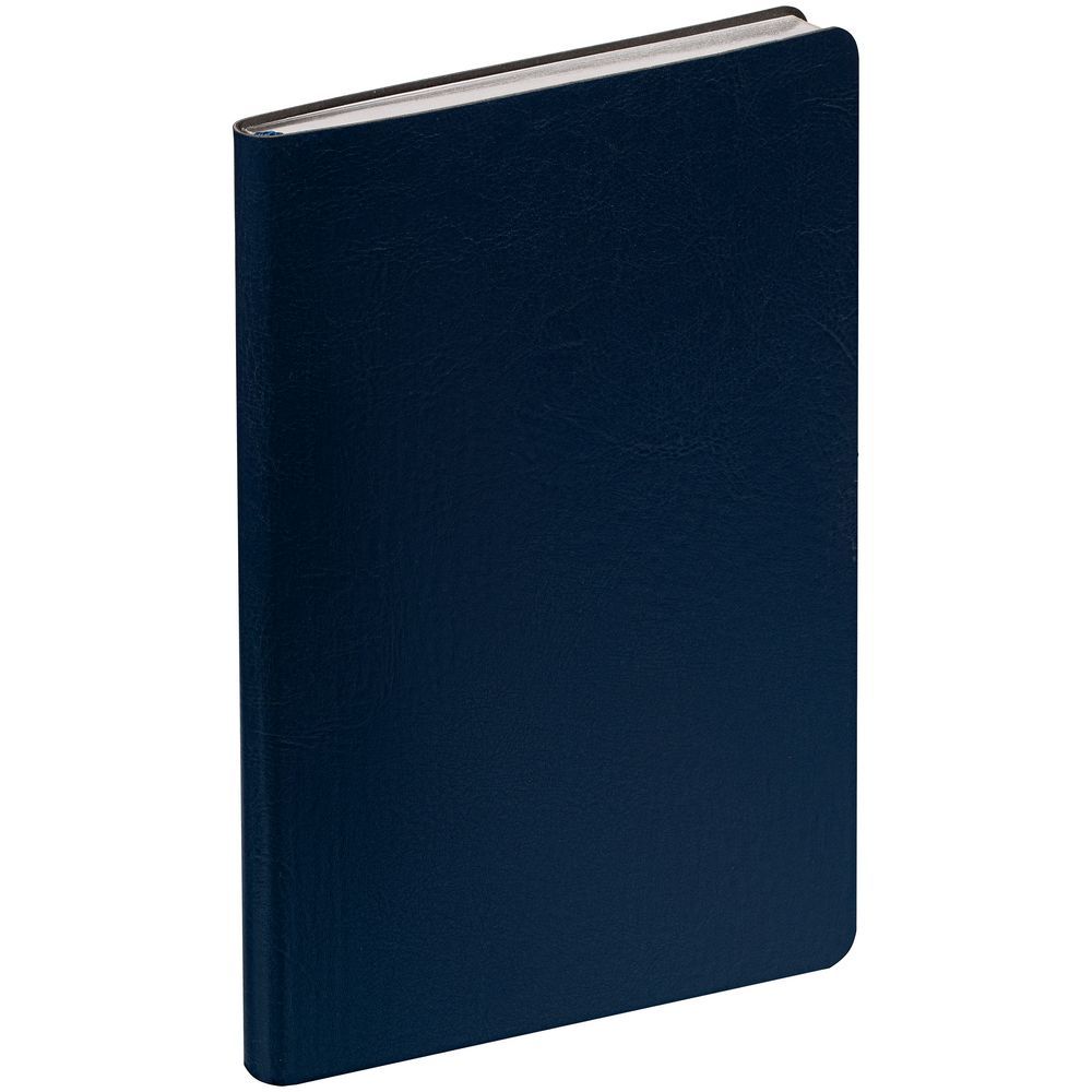 Ежедневник Nebraska Flex недатированный синий с серебром