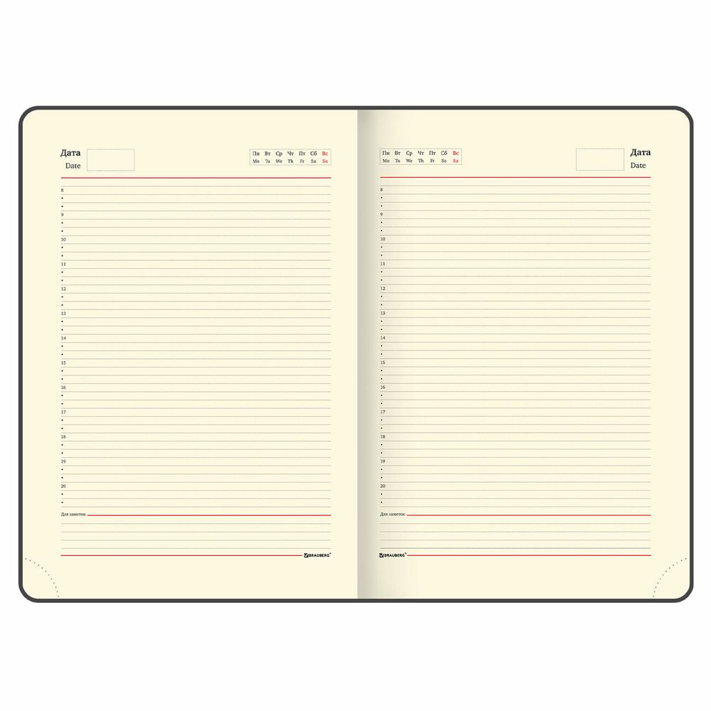 Ежедневник недатированный БОЛЬШОЙ ФОРМАТ 210х297мм А4, BRAUBERG Iguana, 160л, синий