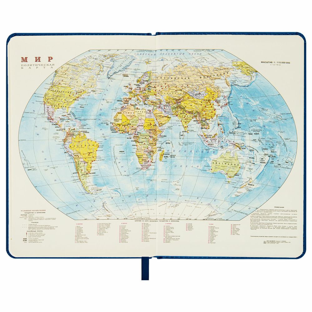 Ежедневник недатированный БОЛЬШОЙ ФОРМАТ 210х297мм А4, BRAUBERG Iguana, 160л, синий