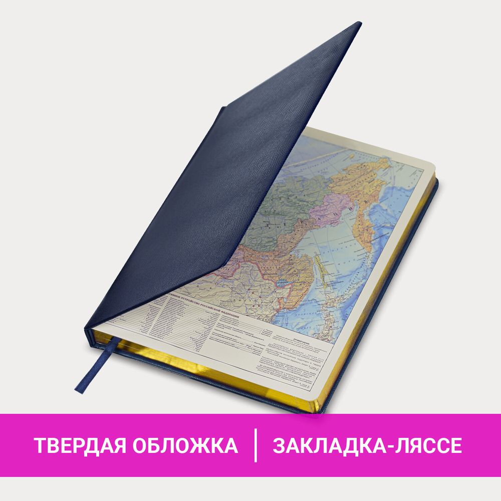 Ежедневник недатированный БОЛЬШОЙ ФОРМАТ 210х297мм А4, BRAUBERG Iguana, 160л, синий