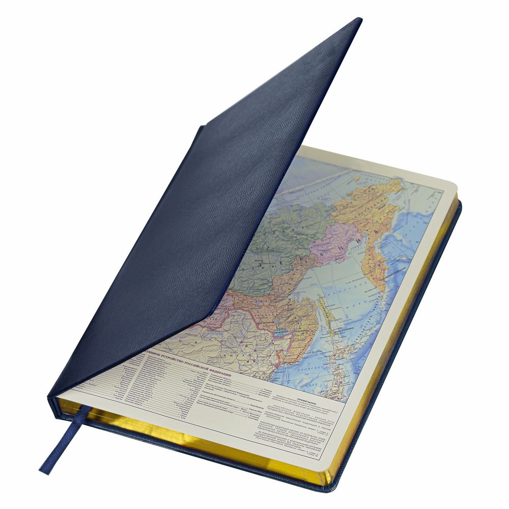 Ежедневник недатированный БОЛЬШОЙ ФОРМАТ 210х297мм А4, BRAUBERG Iguana, 160л, синий