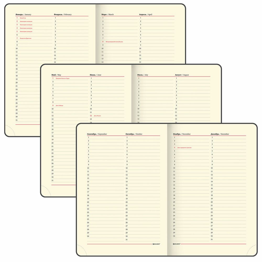 Ежедневник недатированный БОЛЬШОЙ ФОРМАТ 210х297мм А4, BRAUBERG Iguana, 160л, синий