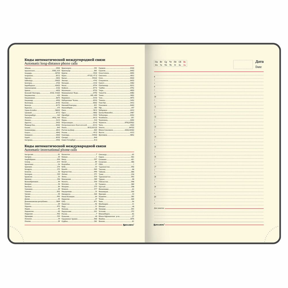 Ежедневник недатированный БОЛЬШОЙ ФОРМАТ 210х297мм А4, BRAUBERG Iguana, 160л, синий