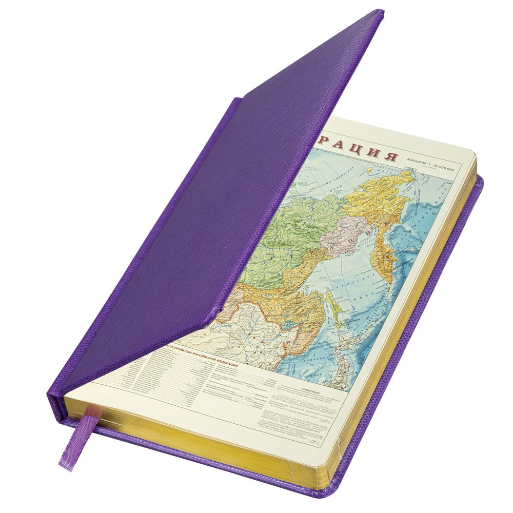 Ежедневник недатированный А5 138х213 мм BRAUBERG "Iguana", под кожу, 160 л., сиреневый