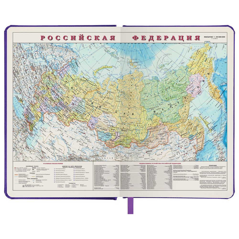 Ежедневник недатированный А5 138х213 мм BRAUBERG "Iguana", под кожу, 160 л., сиреневый