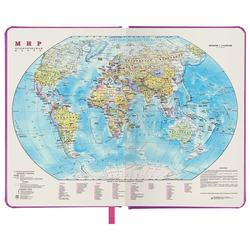 Ежедневник недатированный А5 138х213 мм BRAUBERG "Iguana", под кожу, 160 л., розовый