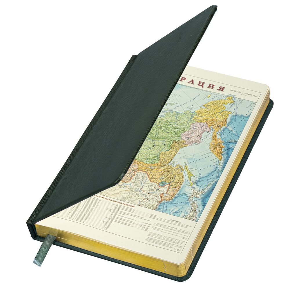 Ежедневник недатированный А5 138х213 мм BRAUBERG "Iguana", под кожу, 160 л., тёмно-зеленый