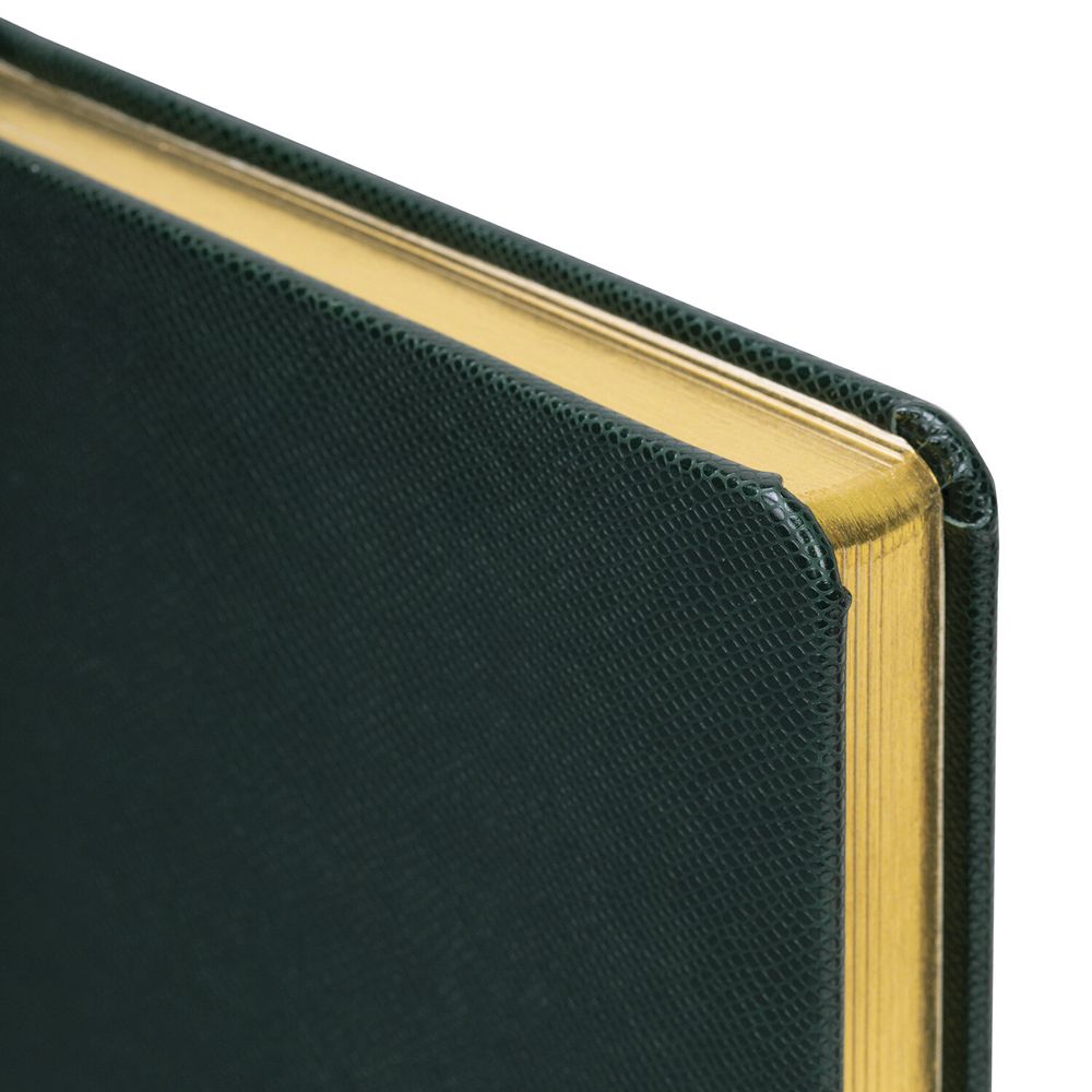 Ежедневник недатированный А5 138х213 мм BRAUBERG "Iguana", под кожу, 160 л., тёмно-зеленый