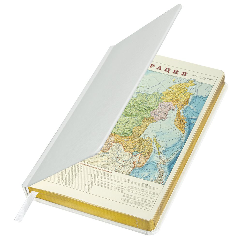 Ежедневник недатированный А5 138х213 мм, BRAUBERG "Iguana", под кожу, 160 л., белый