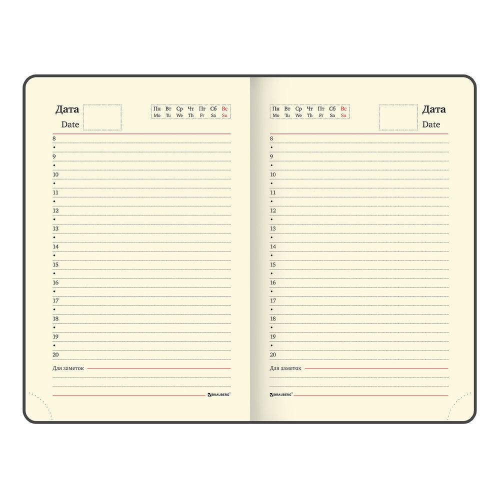 Ежедневник недатированный МАЛЫЙ ФОРМАТ 100x150 мм А6 BRAUBERG "Iguana", под кожу, 160 л., красный