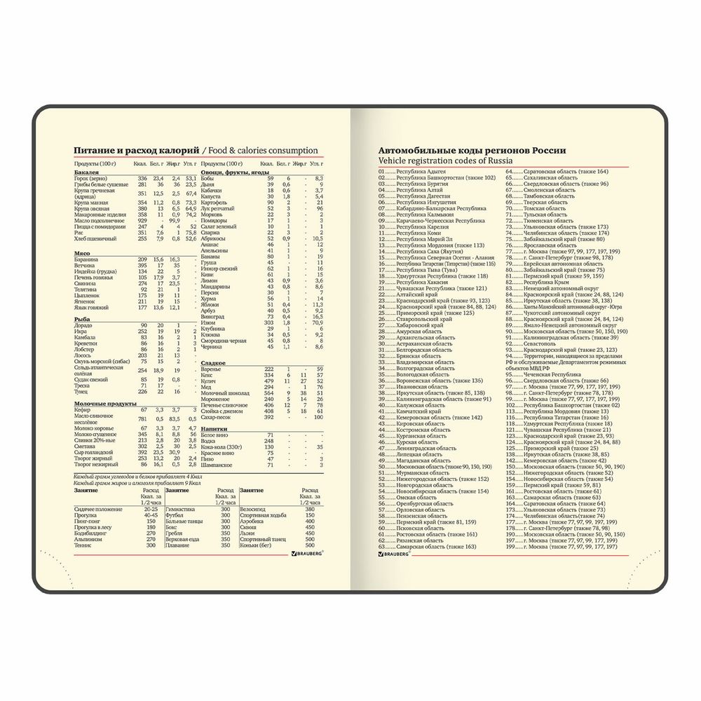 Ежедневник недатированный МАЛЫЙ ФОРМАТ 100x150 мм А6 BRAUBERG "Iguana", под кожу,160 л., сиреневый