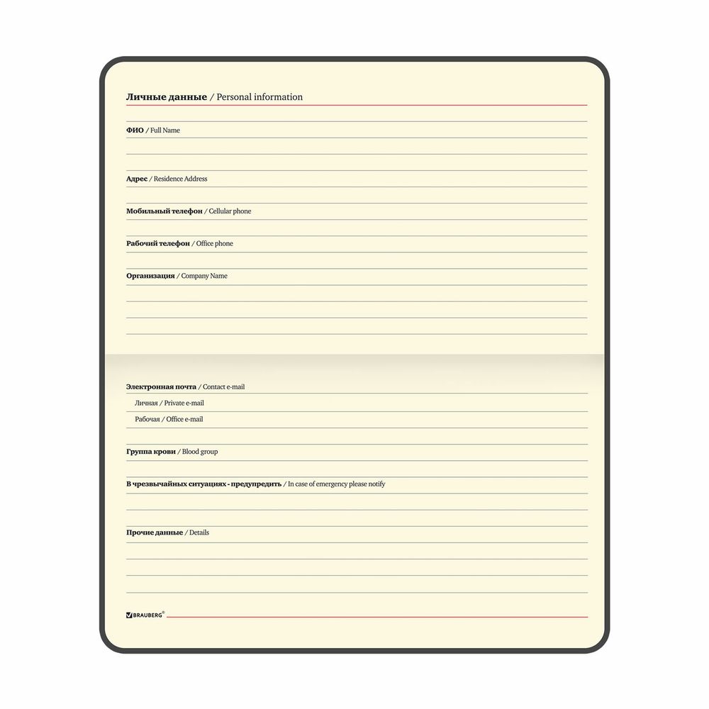 Еженедельник недатированный МАЛЫЙ ФОРМАТ 95х155 мм А6, BRAUBERG "Iguana", под кожу, 64 л., черный