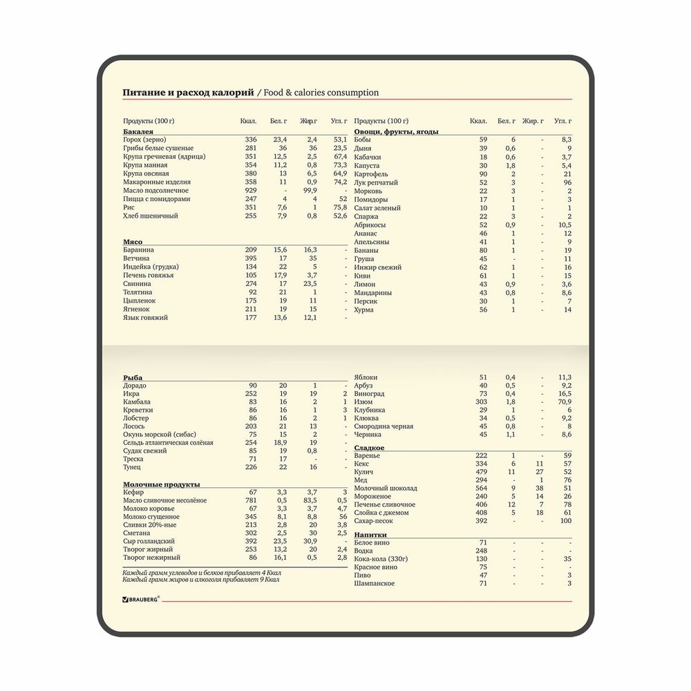 Еженедельник недатированный МАЛЫЙ ФОРМАТ 95х155 мм А6 BRAUBERG
