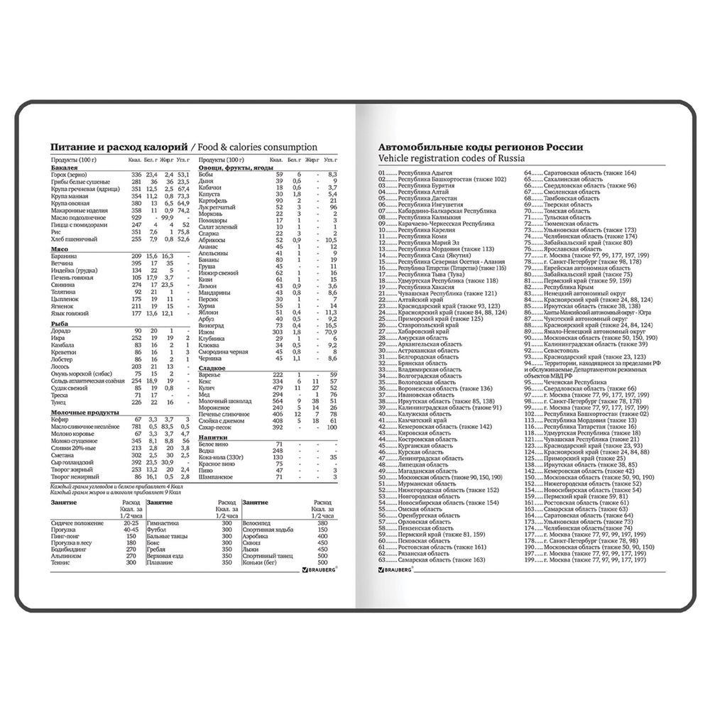 Ежедневник недатированный с резинкой, МАЛЫЙ ФОРМАТ А6 (109х148 мм), BRAUBERG, 128 л., 