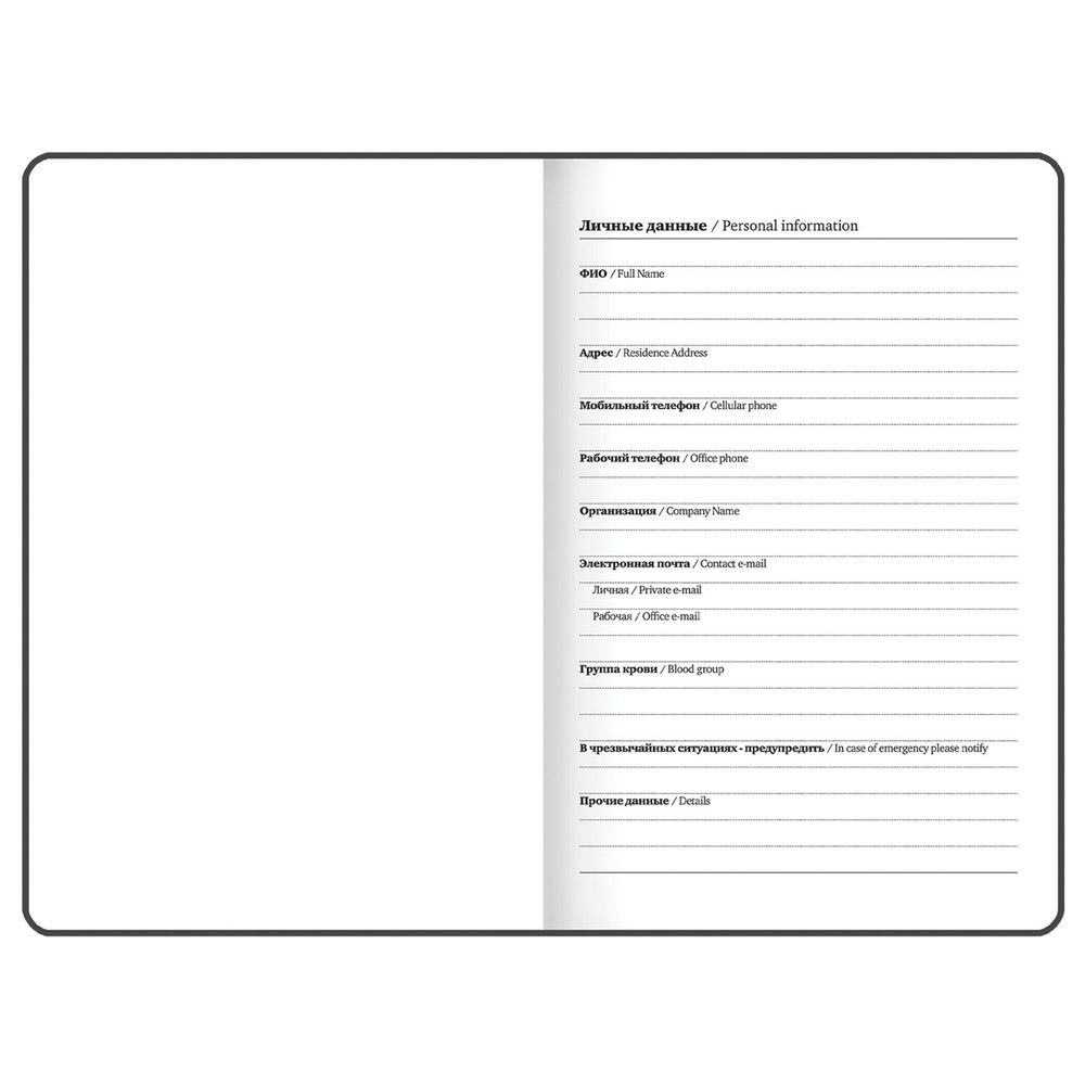 Ежедневник недатированный с резинкой, МАЛЫЙ ФОРМАТ А6 (109х148 мм), BRAUBERG, 128 л., 