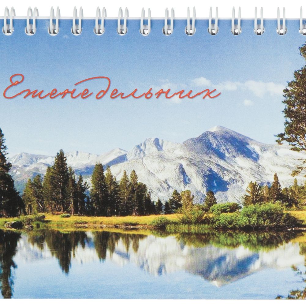 Планинг недатированный 295х100 Attache Economy, 56 л.