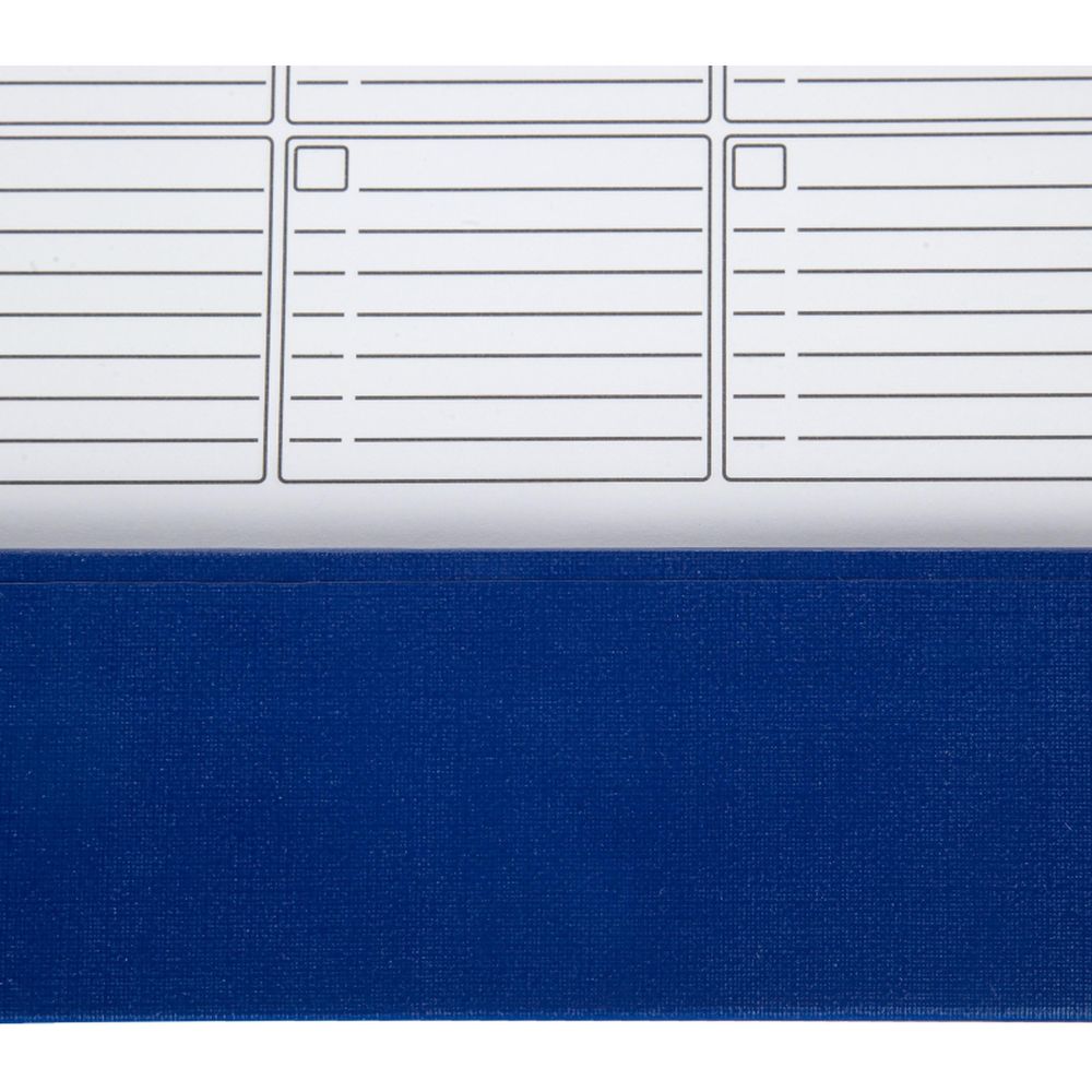 Планинг недатированный,490х350мм,12л