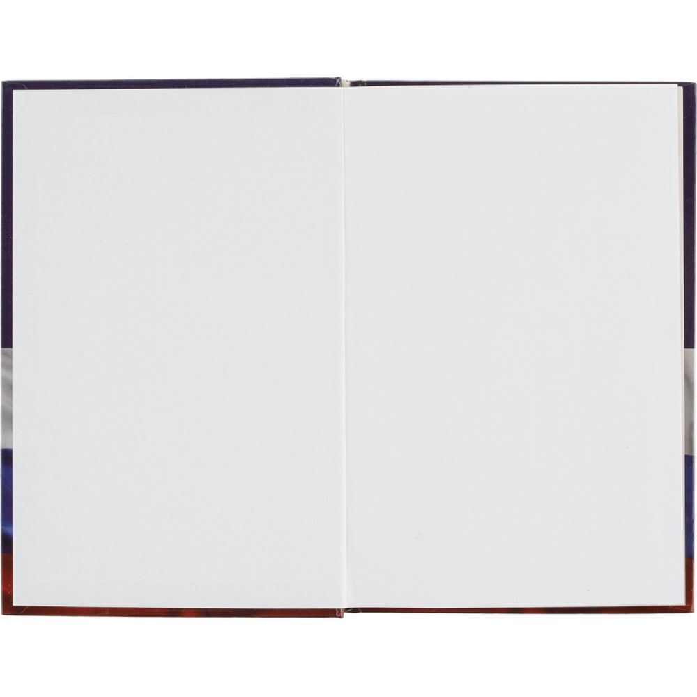 Ежедневник недатированный 7БЦ, А5, 128л Attache Economy, Госсимволика