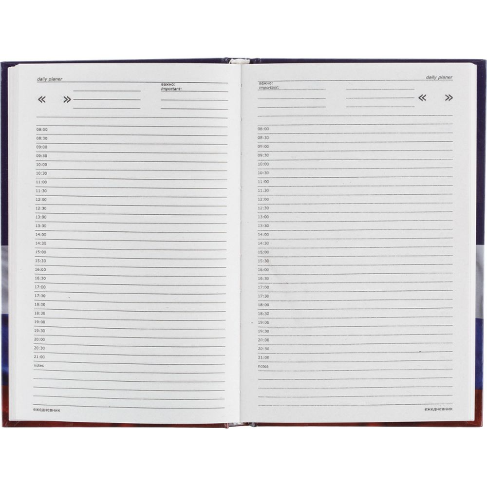 Ежедневник недатированный 7БЦ, А5, 128л Attache Economy, Госсимволика