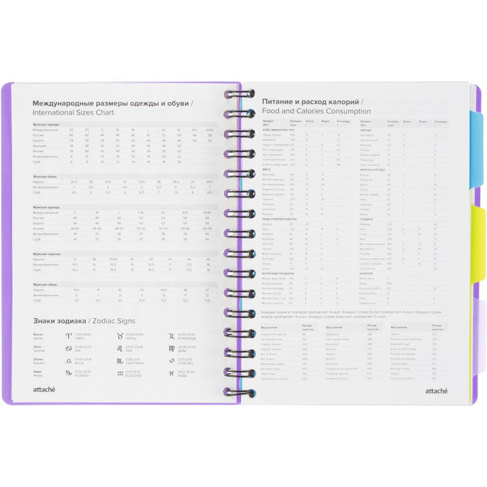 Ежедневник недатированный Bright Colours на спирали, А5, 272 стр, СИРЕНЕВЫЙ
