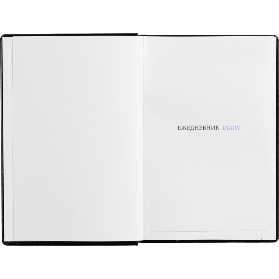Ежедневник недатированный черный, А5, 148x218, 352стр, Agenda