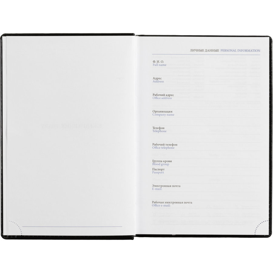 Ежедневник недатированный черный, А5, 148x218, 352стр, Agenda