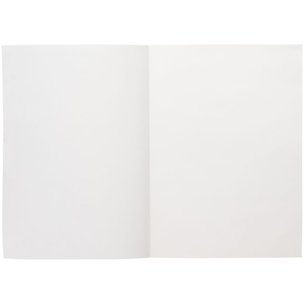 Ежедневник Flat Light, недатированный, серый