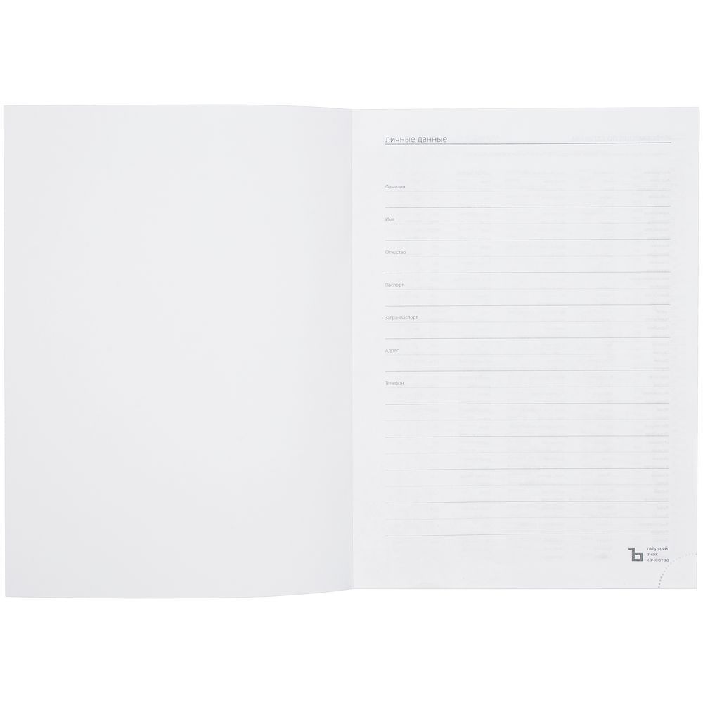 Ежедневник Latte Maxi недатированный синий