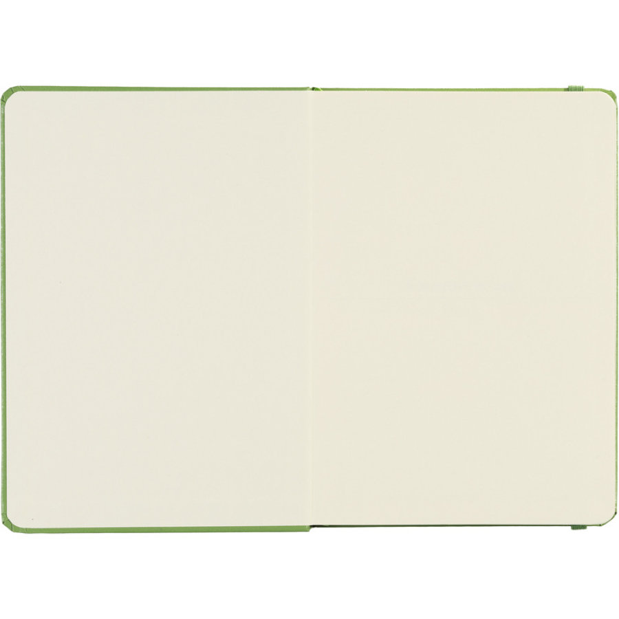 Ежедневник недатированный зеленый, А5 136 л., Dairy, ATTACHE