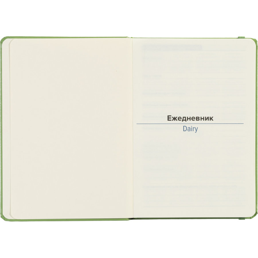 Ежедневник недатированный зеленый, А5 136 л., Dairy, ATTACHE
