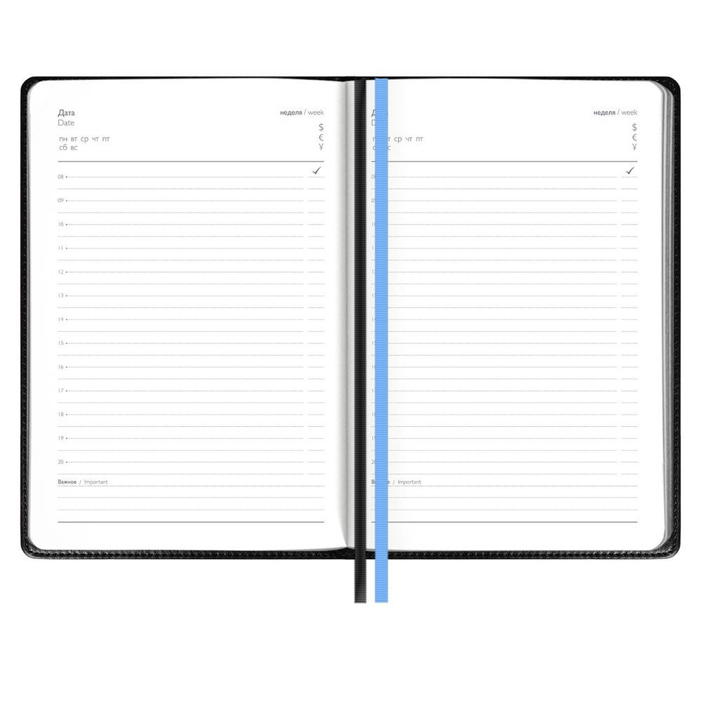 Ежедневник Alanis, недатированный, голубой, черный