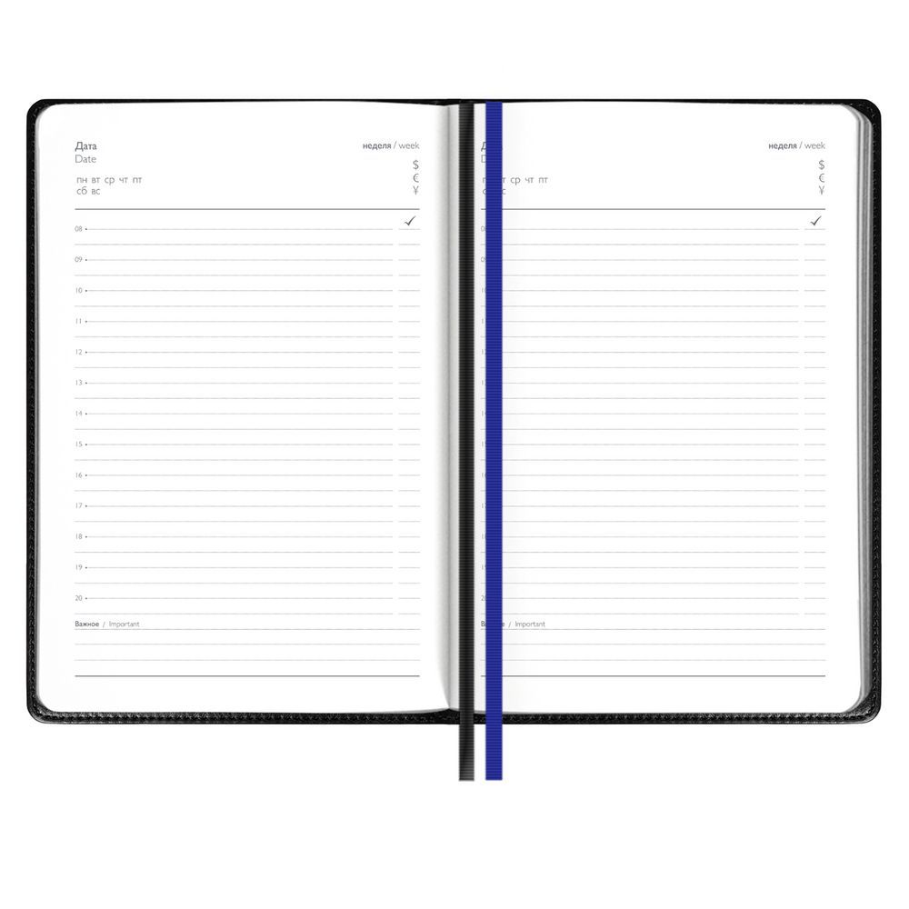 Ежедневник Alanis, недатированный, черный, синий