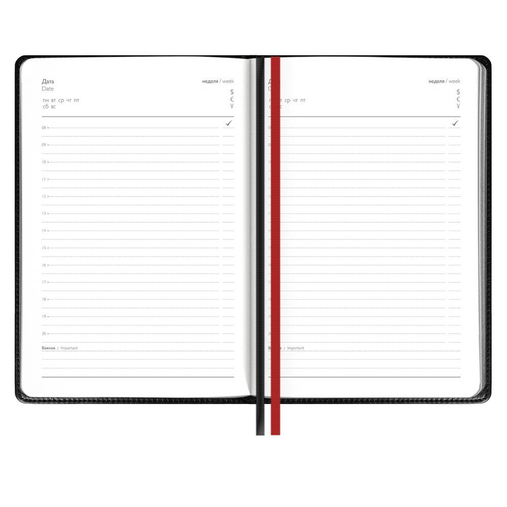 Ежедневник Alanis, недатированный, черный, красный