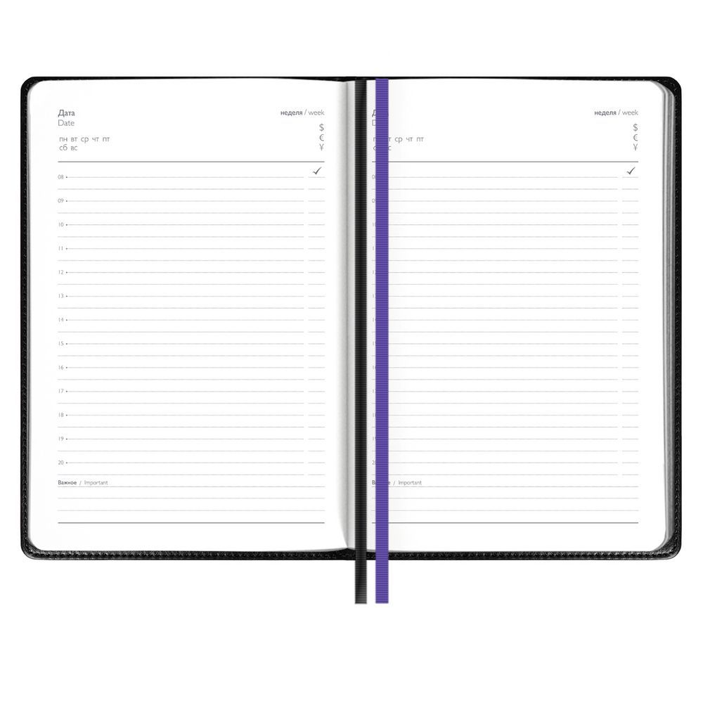Ежедневник Alanis, недатированный, фиолетовый, черный