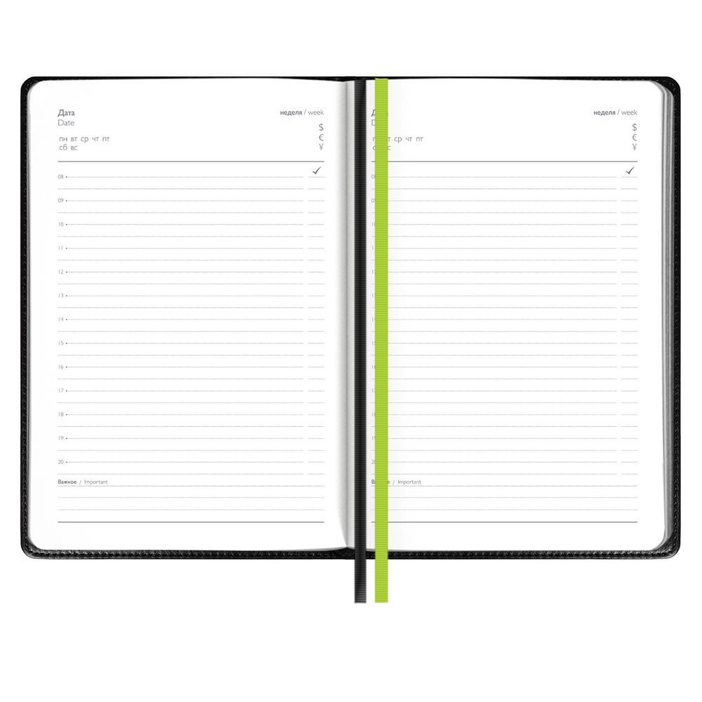 Ежедневник Alanis, недатированный, черный, зеленый