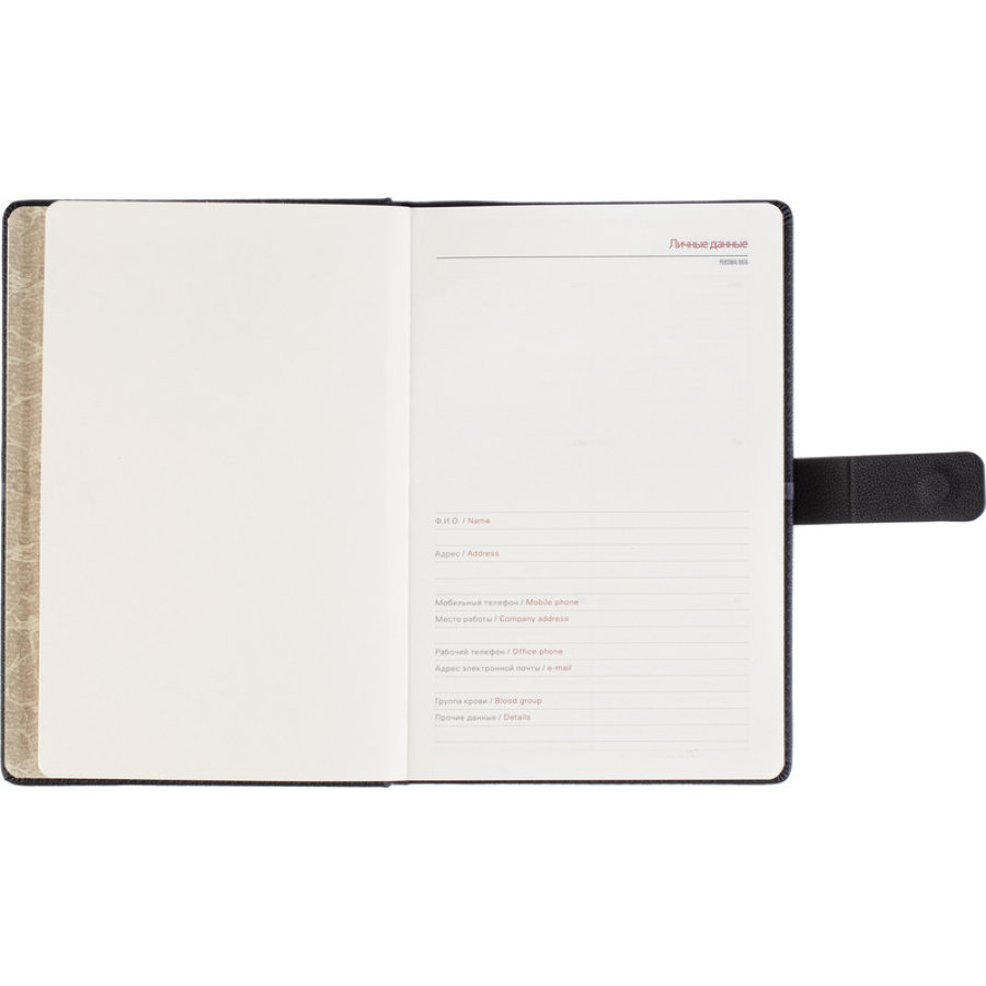 Ежедневник недатированный А5 LYON черный, 136л 