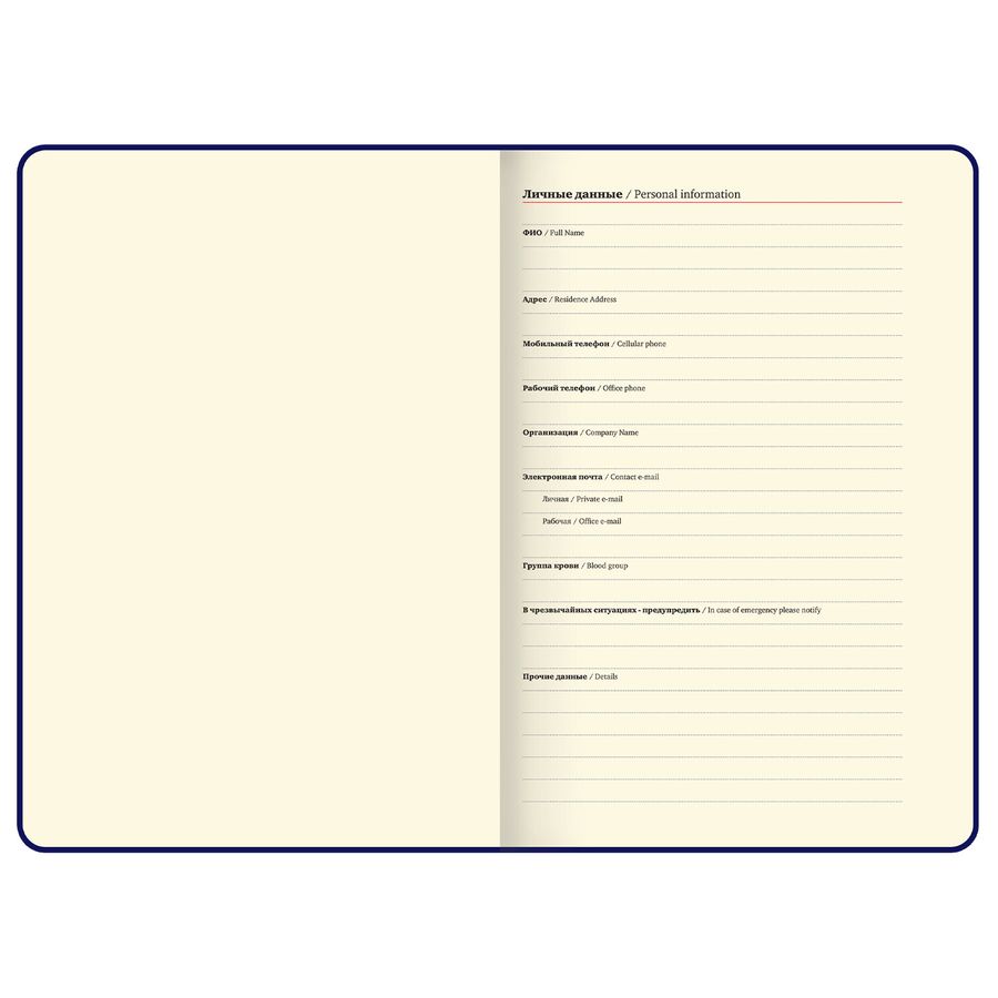 Ежедневник недатированный А5 138x213 мм, BRAUBERG "Velvet", резинка, держатель, 160 л., бежевый