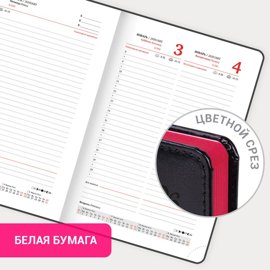 Ежедневник датированный 2026, А5, 138x213 мм, BRAUBERG "Rainbow", под кожу, черный