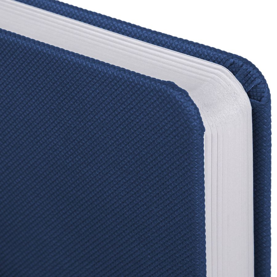 Ежедневник датированный 2026, А5, 138x213 мм, BRAUBERG "Control", под кожу, держатель для ручки, синий