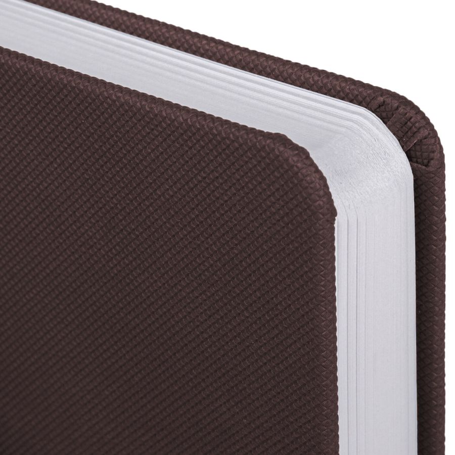 Ежедневник датированный 2026, А5, 138x213 мм, BRAUBERG "Control", под кожу, держатель для ручки, коричневый