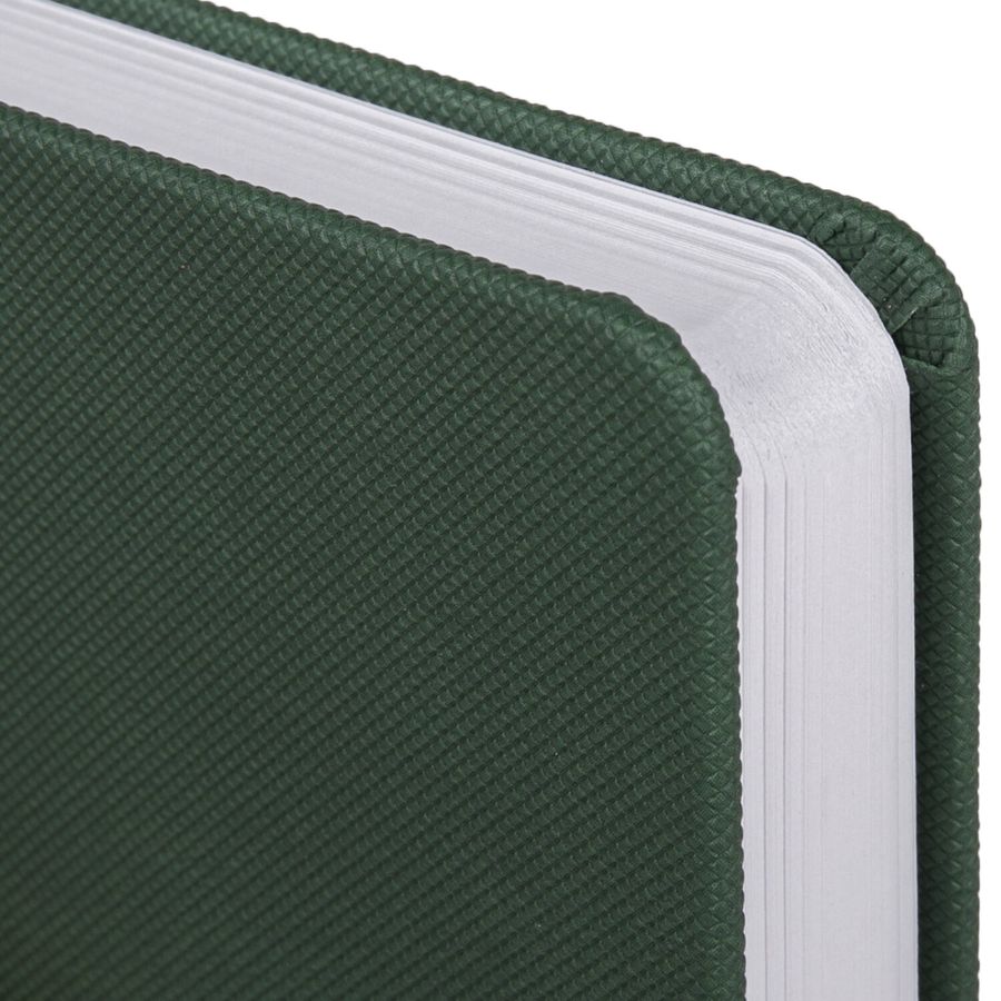 Ежедневник датированный 2026, А5, 138x213 мм, BRAUBERG "Control", под кожу, держатель для ручки, зеленый